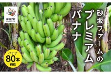 砂坂ファームのプレミアムバナナ （８０本前後）