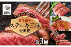 【定期便】ステーキ三昧（全3回）