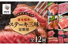 【定期便】ステーキ三昧（全12回）