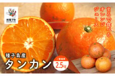 《 先行予約 》【2026年2月中旬〜3月中旬頃順次発送】種子島産タンカン(ご家庭用)約2.5kg（12～18玉）
