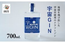 宇宙GIN 700mL