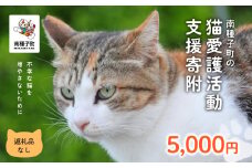  《返礼品なし》 猫愛護活動支援 5,000円 猫ちゃん 猫 ねこ 動物 保護 愛護 保護活動 応援 支援 寄付 南種子町 鹿児島 かごしま