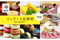 ジェラート定期便12回