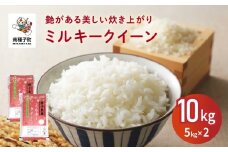 ミルキークイーン 10kg  新米 お米 こめ コメ 精米 白米 南種子町 鹿児島 かごしま 【株式会社こめこめアイランド】