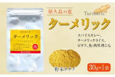 屋久島の恵 ターメリック 30g×1袋（粉末タイプ）