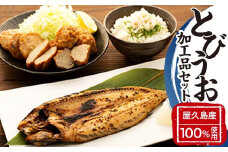 漁協直営！屋久島産 とびうお加工品セット