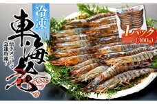 活き〆冷凍 車海老 Mサイズ 300g  鹿児島県産 (養殖)【車海老 海老 エビ エビフライ エビチリ 魚介類 冷凍 人気 おすすめ お取り寄せ 鹿児島県 屋久島町  J001】