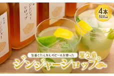 屋久島ジンジャーシロップ 特大(500ml)×4本セット