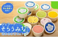 手作り ジェラート 12カップ 詰め合わせ セット＜屋久島産の新鮮食材を使用＞