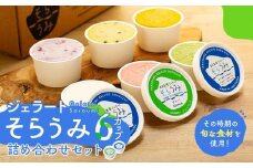 手作り ジェラート 6カップ 詰め合わせ セット＜屋久島産の新鮮食材を使用＞