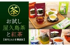 お試し屋久島茶と紅茶