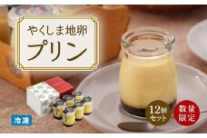 【数量限定】やくしま地卵冷凍プリン 12個セット