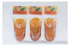 ＜特産品コンクール優秀賞受賞＞屋久島たんかんスライスママレード３個セット