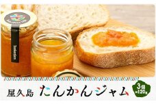 屋久島たんかんジャム３個セット