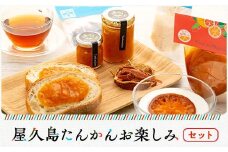 屋久島たんかんお楽しみセット