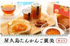 屋久島たんかんご褒美セット