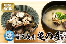【数量限定】屋久島産「亀の手」500g【海水で冷凍】