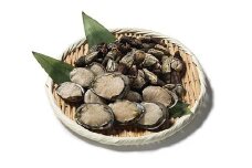 【数量限定】屋久島産「亀の手250g」と「いそもん250g」セット【海水で冷凍】