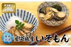 【数量限定】屋久島産「いそもん」500g【海水で冷凍】