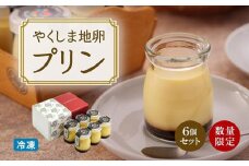 【ギフト用】【数量限定】やくしま地卵冷凍プリン 6個セット
