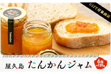 【ギフト用】屋久島たんかんジャム６個セット