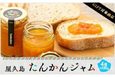 【ギフト用】屋久島たんかんジャム４個セット