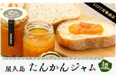 【ギフト用】屋久島たんかんジャム３個セット