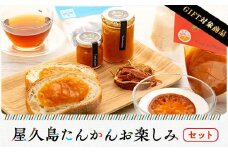 【ギフト用】屋久島たんかんお楽しみセット
