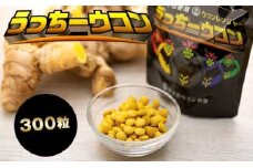 うっちーウコン粒 300粒