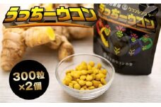 うっちーウコン粒 300粒 2個セット