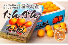 2025年 屋久島産たんかん 約40玉入（約5kg／Mサイズ）＜先行予約／数量限定＞