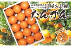 2025年 屋久島産たんかん 約30玉入（約5kg／Lサイズ）＜先行予約／数量限定＞