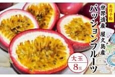【2025年発送先行受付】絶品パッションフルーツ大玉（8玉）“屋久島の恵み”と“愛情”込めて！