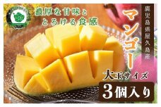 世界自然遺産☆屋久島産HINANOマンゴー 3個入り（1.2～1.5kg）【2023年先行予約】