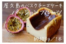 屋久島の手作りバスクチーズケーキ （パッションフルーツ）