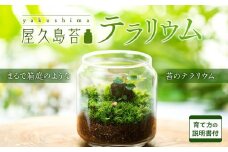 屋久島苔テラリウム