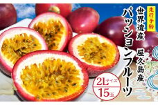 【2025年発送先行受付】絶品パッションフルーツ２L玉（15玉）“屋久島の恵み”と“愛情”込めて！【パッションフルーツ パッション フルーツ 果物 くだもの お取り寄せ 期間限定 数量限定 人気 おすすめ 鹿児島県 屋久島町 NP18】