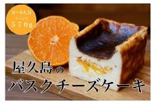 屋久島の手作りバスクチーズケーキ （たんかん）