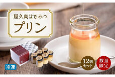【数量限定】屋久島はちみつ冷凍プリン12個セット