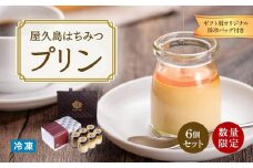 【ギフト用オリジナル保冷バッグ付き】【数量限定】屋久島はちみつ冷凍プリン6個セット