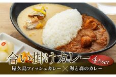 【屋久島産トビウオ100％】屋久島フィッシュカレー＆屋久島海と森のカレー合い掛け4点セット