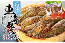 活き〆冷凍 車海老 3Lサイズ 計600g  鹿児島県産 (養殖)【車海老 海老 エビ エビフライ エビチリ 魚介類 冷凍 人気 おすすめ お取り寄せ 鹿児島県 屋久島町  J004】
