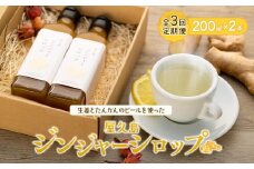 【全3回定期便】屋久島ジンジャーシロップ 大(200ml)×2本セット