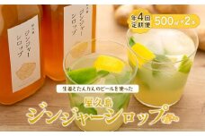 【定期便／年4回お届け】屋久島ジンジャーシロップ 特大(500ml)×2本セット