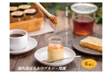 【数量限定】屋久島はちみつ冷凍プリン6個セット