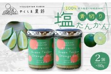＜100％屋久島産の柑橘調味料＞青切り塩たんかん 2個