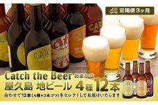 【定期便3ヶ月】屋久島・地ビール Catch the Beerおまかせビール4種12本セット
