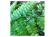 シダ ーpteridophyteー（ネックレス）