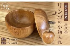 屋久杉 リンゴの小物入れ＜島屋工房＞