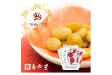 屋久島・種子島産ガジュツ配合 恵命堂我述飴（5袋セット）